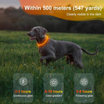 Lighted Dog Collar - Waterproof Puppy Collar Light Rechargeable, High Visibility Glowing Dog Lights for Night Walking (Orange)