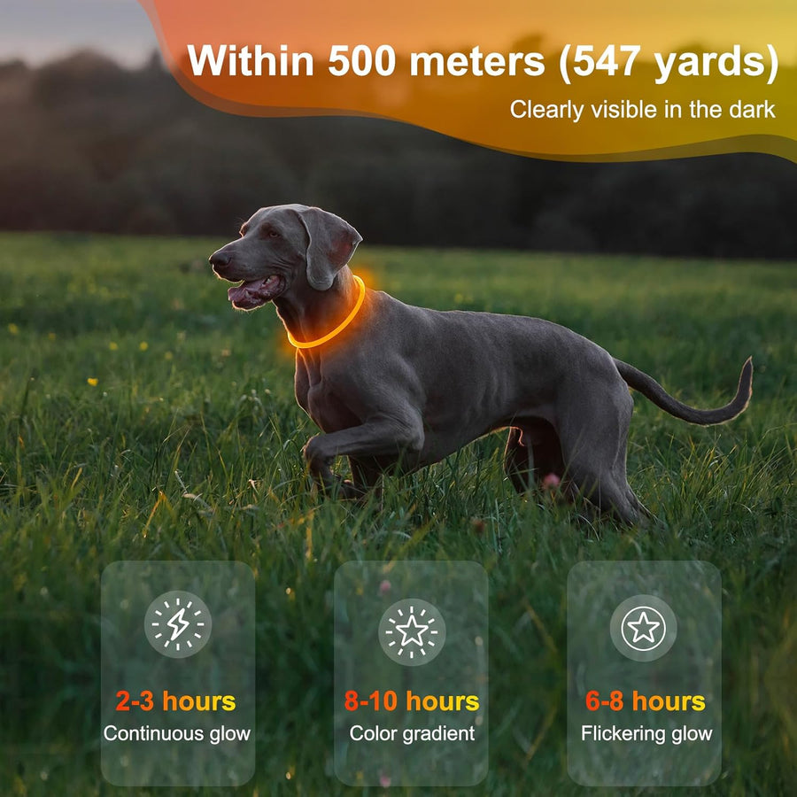 Lighted Dog Collar - Waterproof Puppy Collar Light Rechargeable, High Visibility Glowing Dog Lights for Night Walking (Orange)