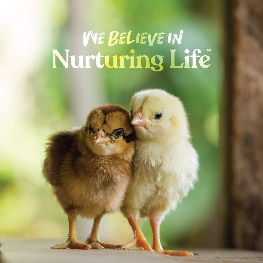 Chick Grit, Digestive Supplement for Young Poultry and Bantam Breed, Probiotics to Support Digestion, No Artificial Ingredients or Preservatives, Insoluble Crushed Granite, 25 Lbs