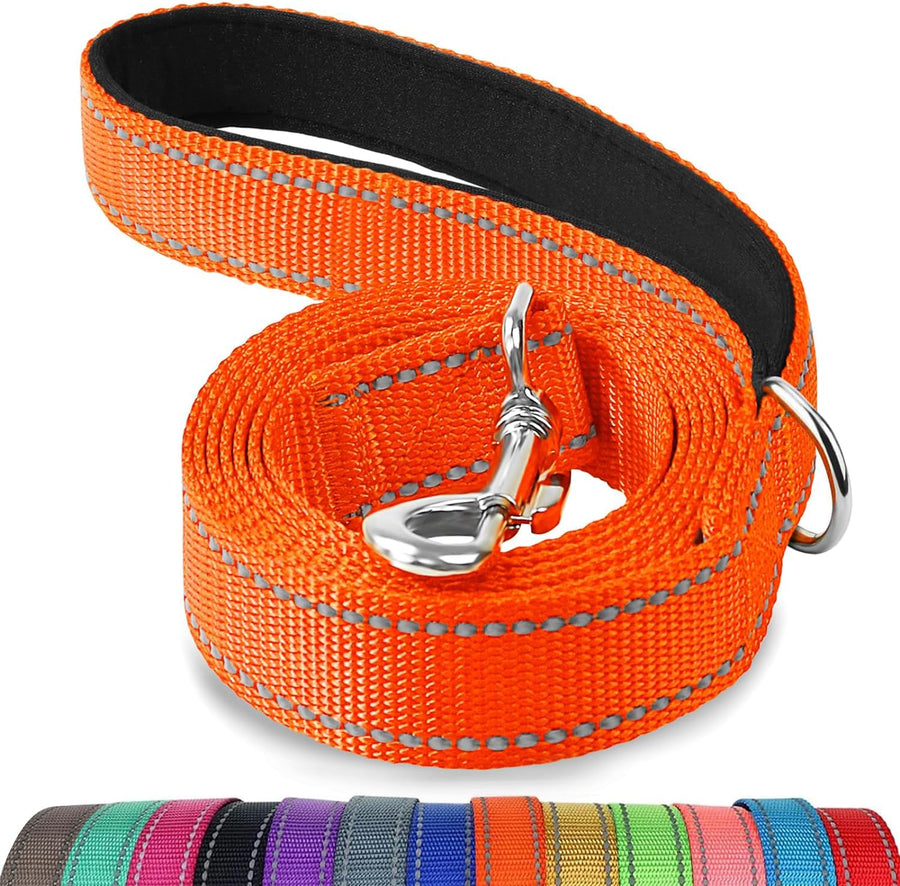 Dog Leash, 5 FT Double-Sided Reflective, Padded Handle Nylon Heavy Duty Leashes for Medium & Large Dogs Walking, Orange