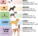Orthopedic Dog Bed for Small Dogs W/ Removable Bolsters & Washable Cover, for Dogs up to 20 Lbs - Plush & Velvet Waves Perfect Comfort Sofa - Brownstone, Small